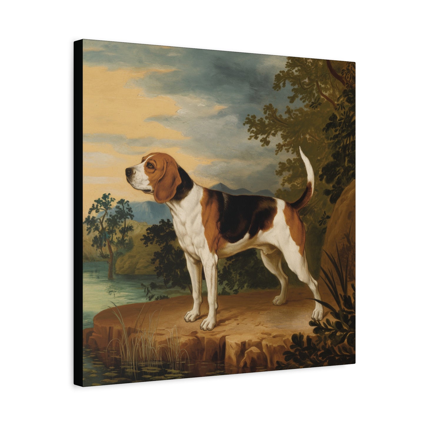 The Beagle's Serene Adventure